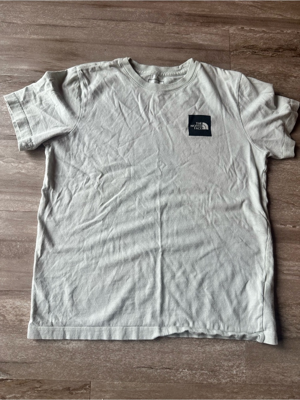 The North Face Women’s Short Sleeve Crew Tee in Light Green with Black Logo